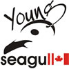 YoungSeagull