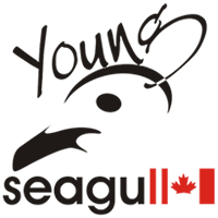 Young Seagull Advertising & Technologies logo